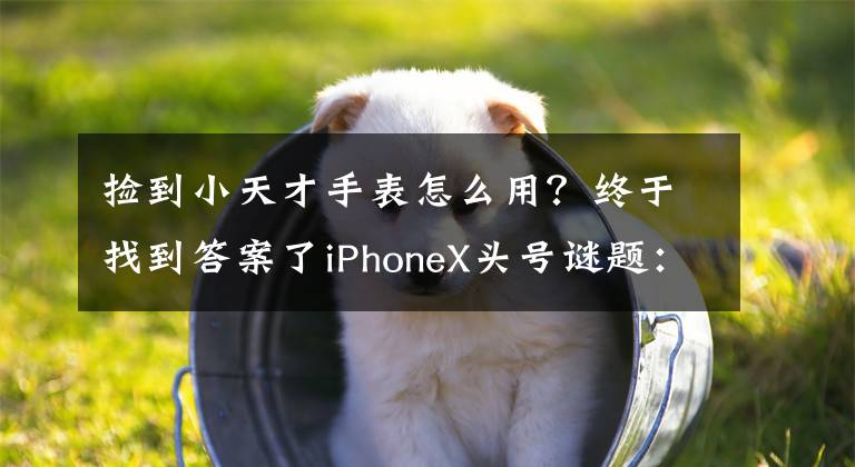 捡到小天才手表怎么用？终于找到答案了iPhoneX头号谜题：妹子卸妆还能解锁码？