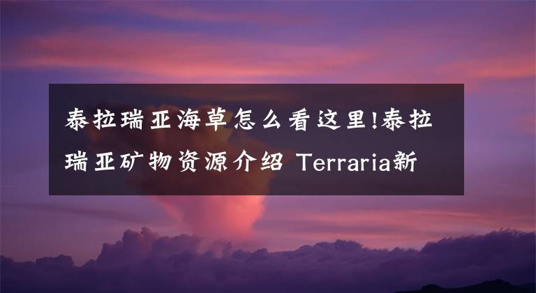 泰拉瑞亚海草怎么看这里!泰拉瑞亚矿物资源介绍 Terraria新手全教程