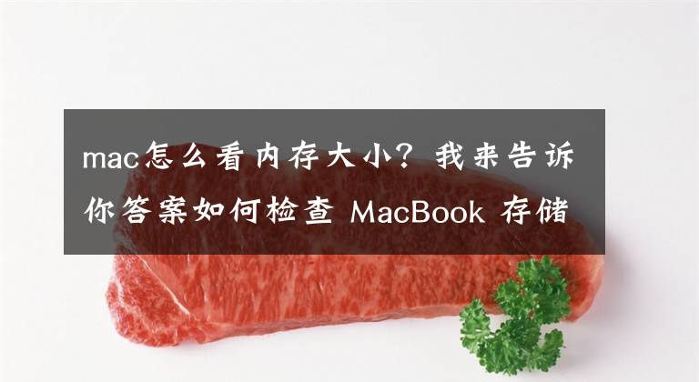 mac怎么看内存大小？我来告诉你答案如何检查 MacBook 存储