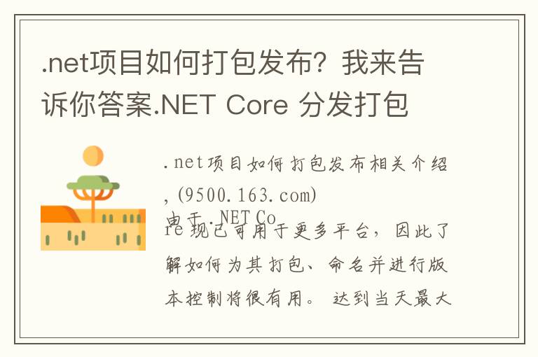 .net项目如何打包发布？我来告诉你答案.NET Core 分发打包