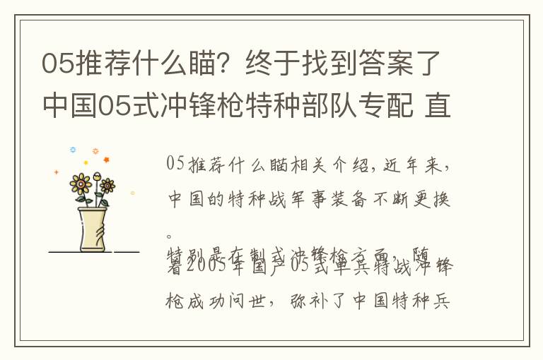 05推荐什么瞄？终于找到答案了中国05式冲锋枪特种部队专配 直插四排发弹匣 弹匣容量高达50发