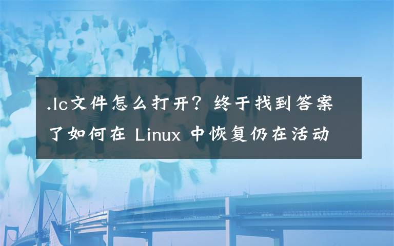 .lc文件怎么打开？终于找到答案了如何在 Linux 中恢复仍在活动进程中的已删除文件