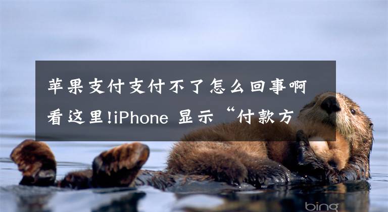 苹果支付支付不了怎么回事啊看这里!iPhone 显示“付款方式被拒”怎么解决？