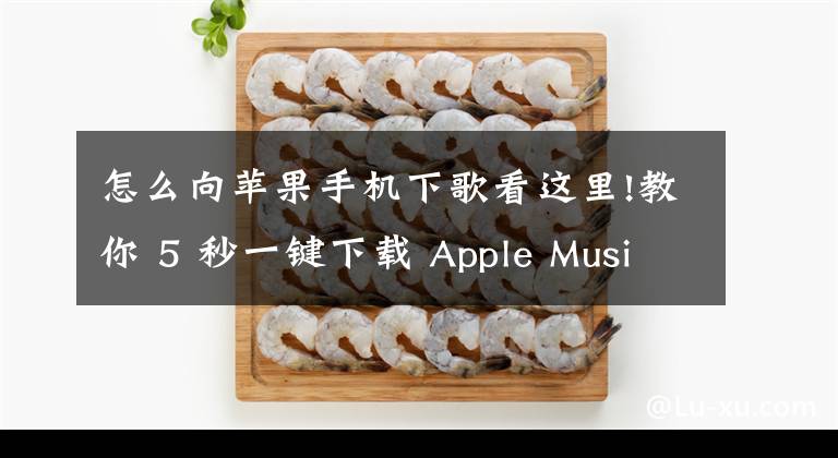 怎么向苹果手机下歌看这里!教你 5 秒一键下载 Apple Music 上的所有音乐