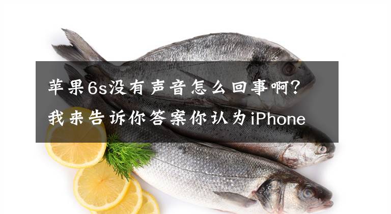 苹果6s没有声音怎么回事啊？我来告诉你答案你认为iPhone6s的音质如何？是否被国产音乐手机吊打？