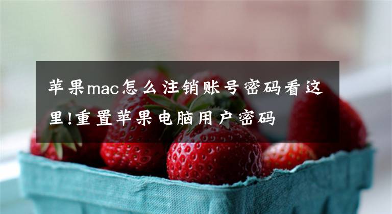 苹果mac怎么注销账号密码看这里!重置苹果电脑用户密码