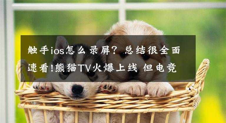 触手ios怎么录屏？总结很全面速看!熊猫TV火爆上线 但电竞手游直播的春天在哪?