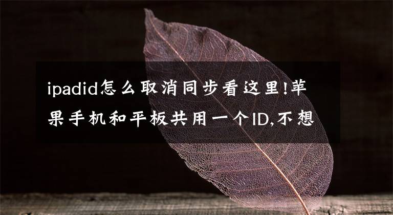 ipadid怎么取消同步看这里!苹果手机和平板共用一个ID,不想它们共享照片在哪里设置