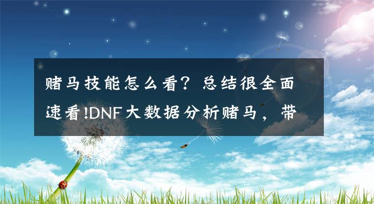 赌马技能怎么看？总结很全面速看!DNF大数据分析赌马，带你上天