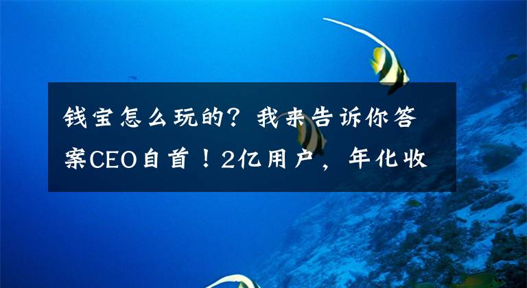 钱宝怎么玩的？我来告诉你答案CEO自首！2亿用户，年化收益率高达40%的钱宝网是怎么玩崩的？