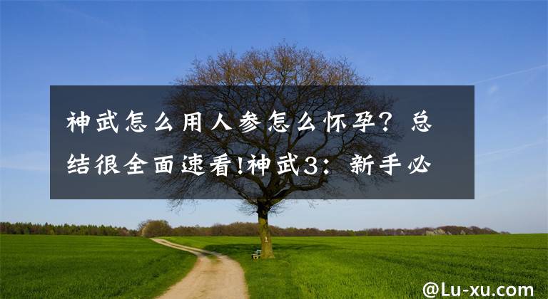 神武怎么用人参怎么怀孕？总结很全面速看!神武3：新手必备 性价比最高的子女