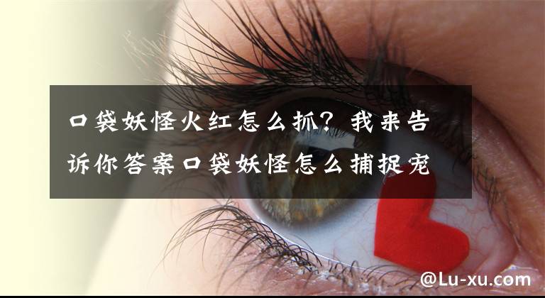 口袋妖怪火红怎么抓？我来告诉你答案口袋妖怪怎么捕捉宠物 捕捉宠物详细攻略