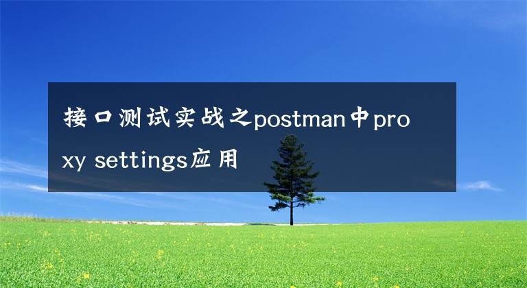 接口测试实战之postman中proxy settings应用