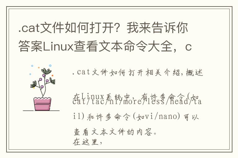 .cat文件如何打开？我来告诉你答案Linux查看文本命令大全，cat/tac/nl/more/less/head/tail/vi