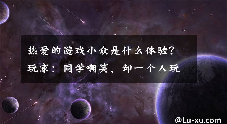 热爱的游戏小众是什么体验？玩家：同学嘲笑，却一个人玩了五年