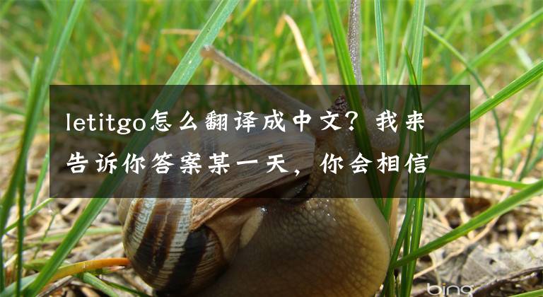 letitgo怎么翻译成中文？我来告诉你答案某一天，你会相信的正能量英文句子