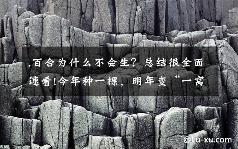 .百合为什么不会生？总结很全面速看!今年种一棵，明年变“一窝”！有院子就种百合吧，花开一季也很值