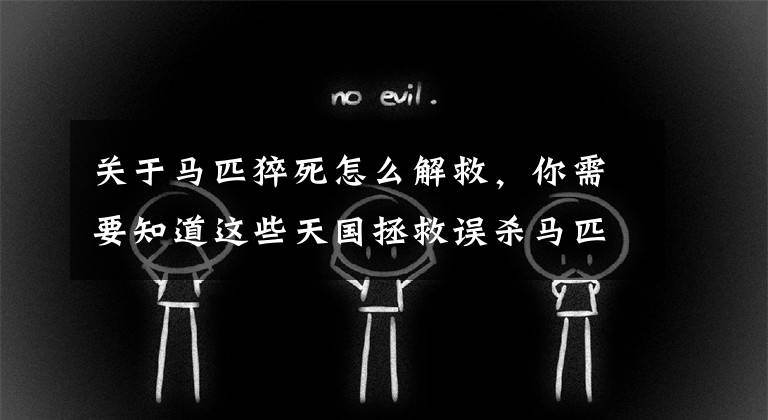 关于马匹猝死怎么解救，你需要知道这些天国拯救误杀马匹快速救活攻略