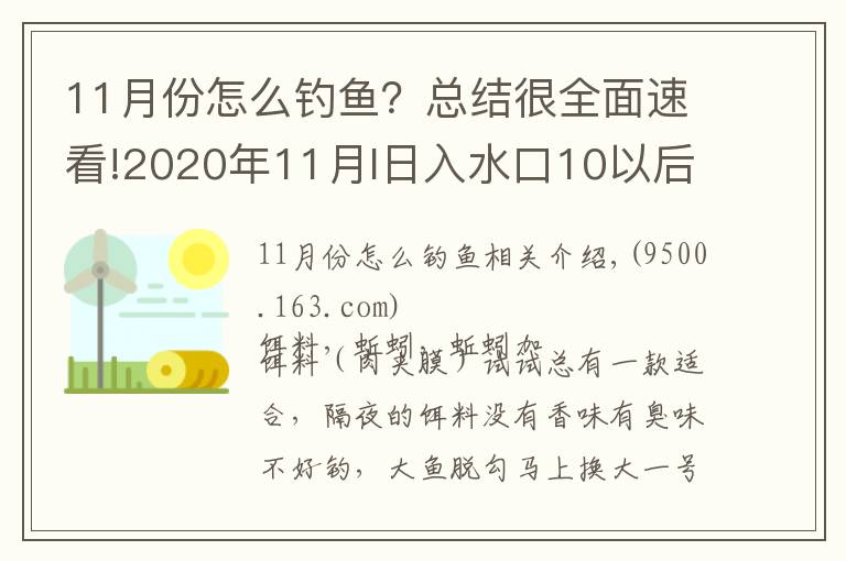 11月份怎么钓鱼？总结很全面速看!2020年11月I日入水口10以后鲫鱼开口