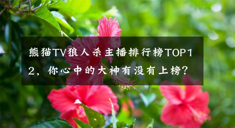 熊猫TV狼人杀主播排行榜TOP12，你心中的大神有没有上榜？