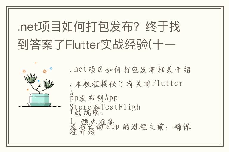 .net项目如何打包发布？终于找到答案了Flutter实战经验(十一)：打包和发布到 iOS 平台