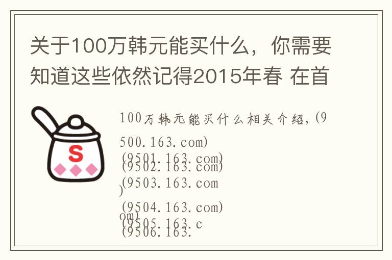 关于100万韩元能买什么，你需要知道这些依然记得2015年春 在首尔100多万韩币买的miumiu包包