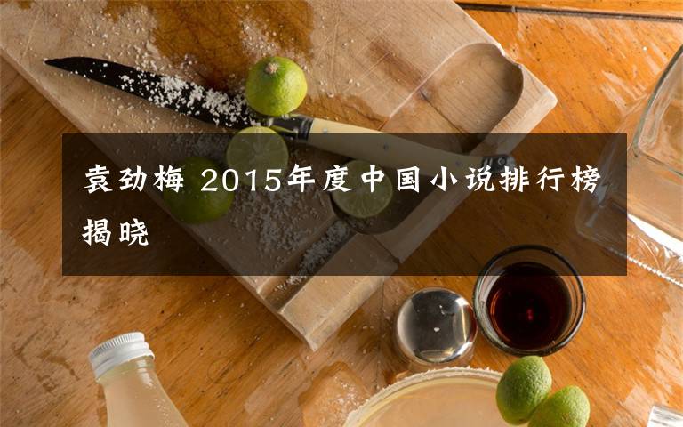 袁劲梅 2015年度中国小说排行榜揭晓