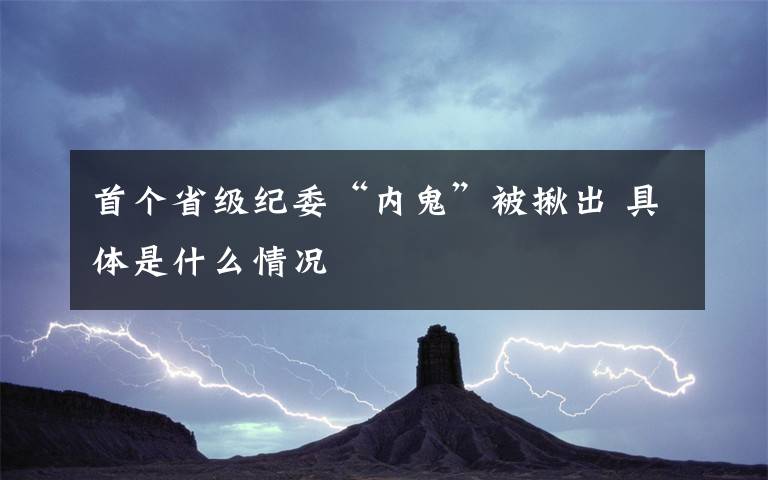 首个省级纪委“内鬼”被揪出 具体是什么情况