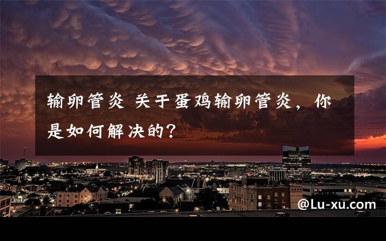 输卵管炎 关于蛋鸡输卵管炎，你是如何解决的？