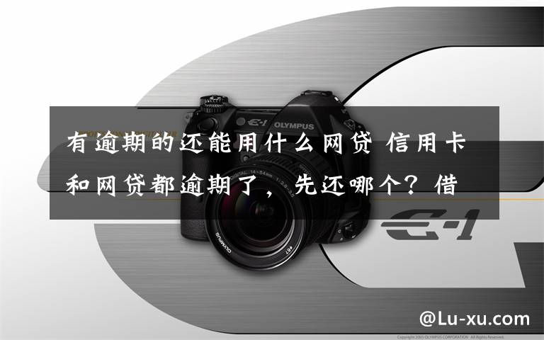 有逾期的还能用什么网贷 信用卡和网贷都逾期了，先还哪个？借款人亲身经历告诉你怎么做！