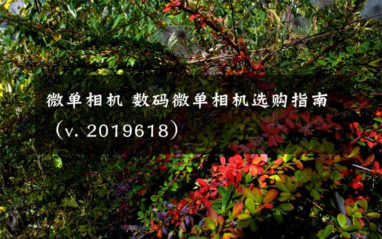 微单相机 数码微单相机选购指南（v. 2019618）