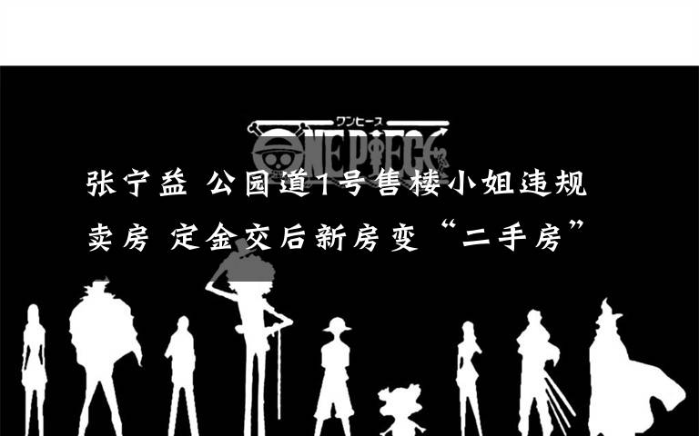 张宁益 公园道1号售楼小姐违规卖房 定金交后新房变“二手房”