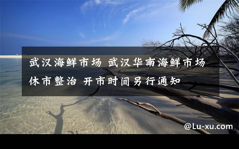 武汉海鲜市场 武汉华南海鲜市场休市整治 开市时间另行通知