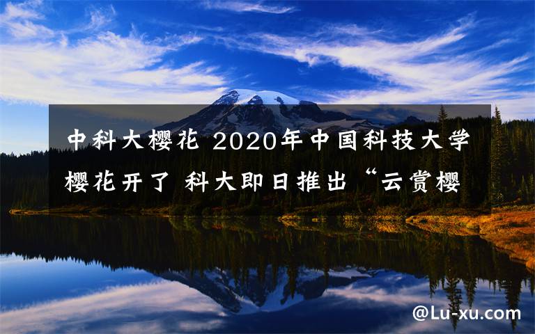 中科大樱花 2020年中国科技大学樱花开了 科大即日推出“云赏樱” 附赏花攻略