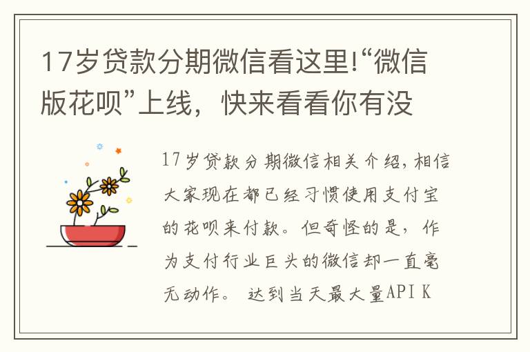 17岁贷款分期微信看这里!“微信版花呗”上线，快来看看你有没有开通资格