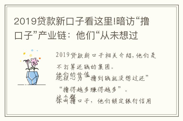 2019贷款新口子看这里!暗访“撸口子”产业链：他们“从未想过还钱”