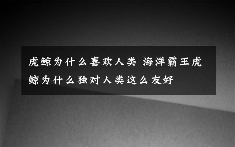 虎鲸为什么喜欢人类 海洋霸王虎鲸为什么独对人类这么友好