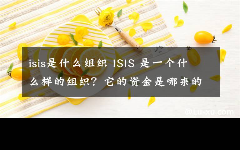 isis是什么组织 ISIS 是一个什么样的组织？它的资金是哪来的？