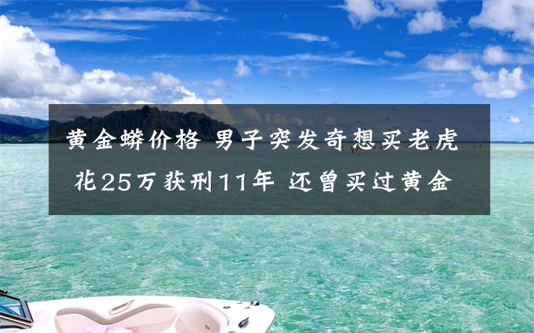 黄金蟒价格 男子突发奇想买老虎 花25万获刑11年 还曾买过黄金蟒