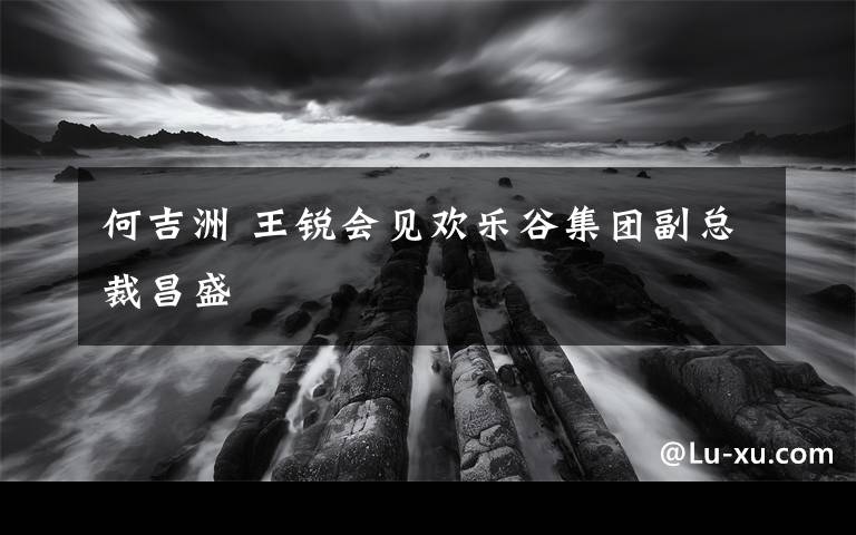 何吉洲 王锐会见欢乐谷集团副总裁昌盛