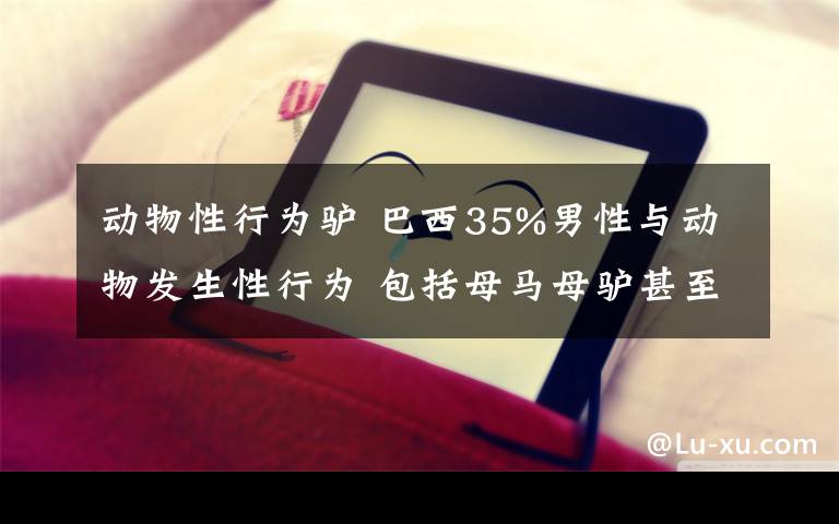 动物性行为驴 巴西35%男性与动物发生性行为 包括母马母驴甚至鸡