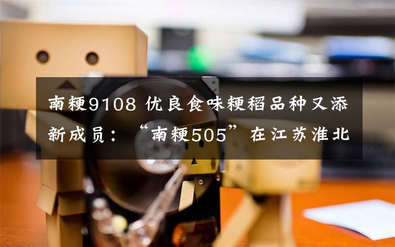 南粳9108 优良食味粳稻品种又添新成员：“南粳505”在江苏淮北地区开始推广