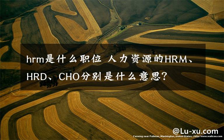 hrm是什么职位 人力资源的HRM、HRD、CHO分别是什么意思？