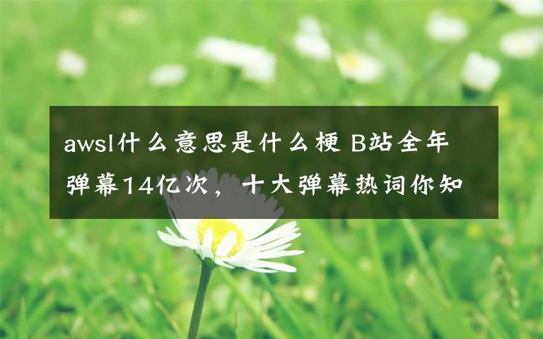 awsl什么意思是什么梗 B站全年弹幕14亿次，十大弹幕热词你知道几个？AWSL什么梗