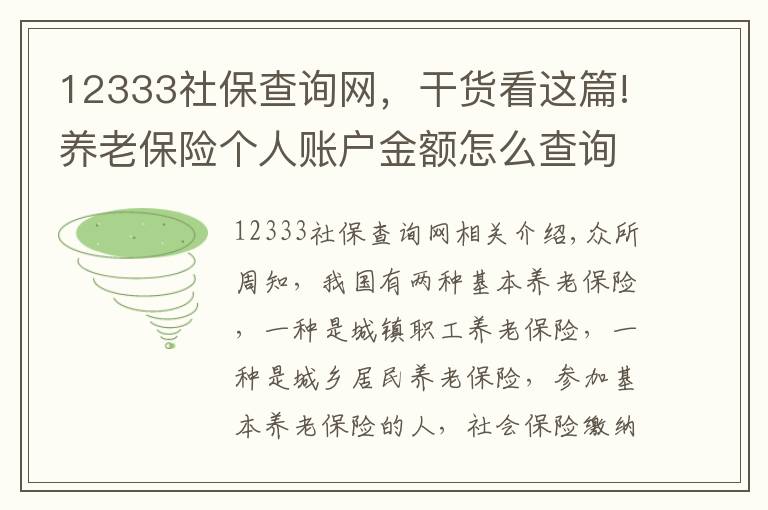 12333社保查询网，干货看这篇!养老保险个人账户金额怎么查询？四种方式告诉你