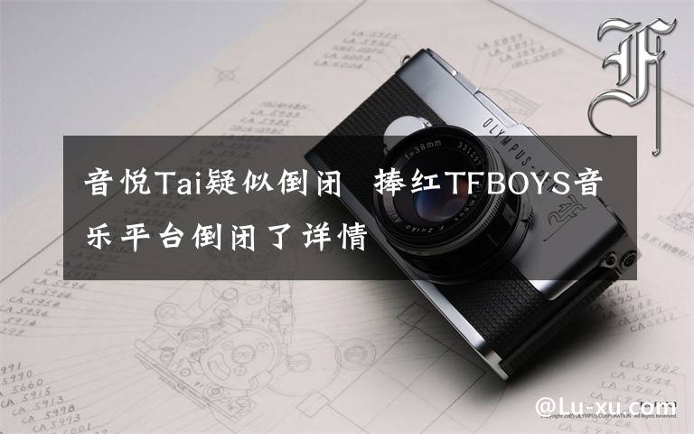 音悦Tai疑似倒闭  捧红TFBOYS音乐平台倒闭了详情