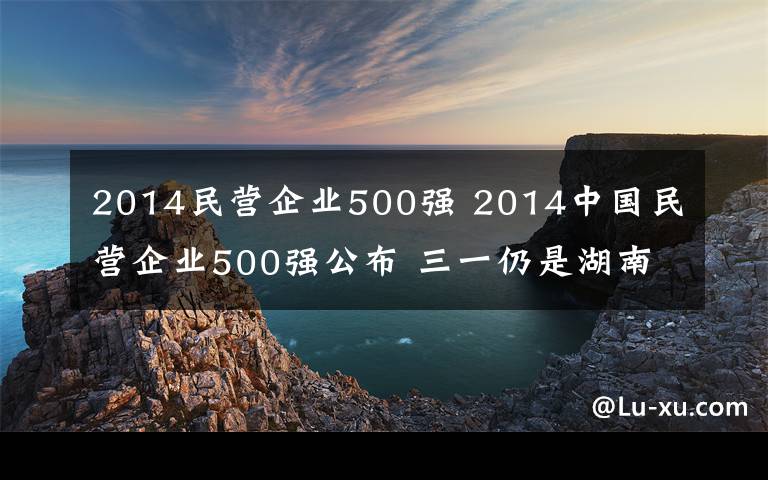 2014民营企业500强 2014中国民营企业500强公布 三一仍是湖南领头羊