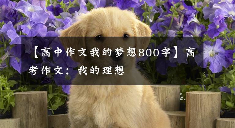 【高中作文我的梦想800字】高考作文：我的理想