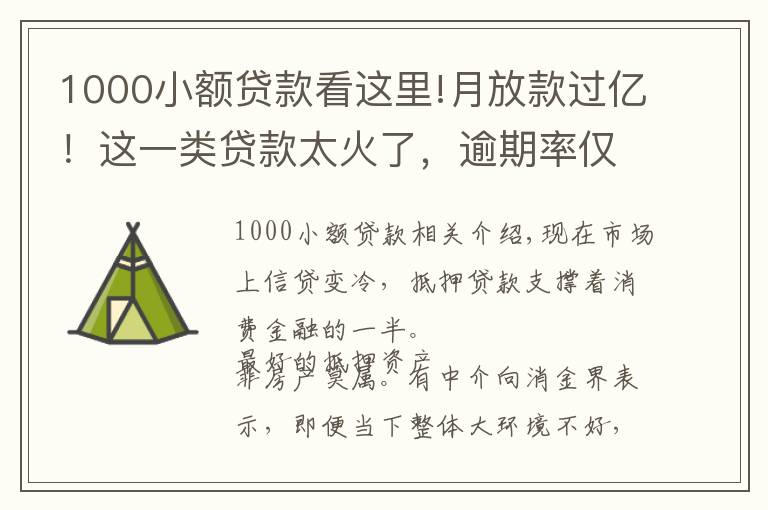 1000小额贷款看这里!月放款过亿！这一类贷款太火了，逾期率仅1%