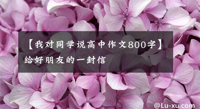 【我对同学说高中作文800字】给好朋友的一封信